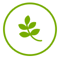icon3