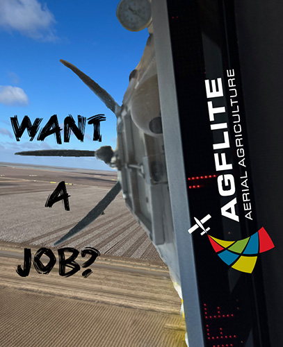 AG Flite Careers